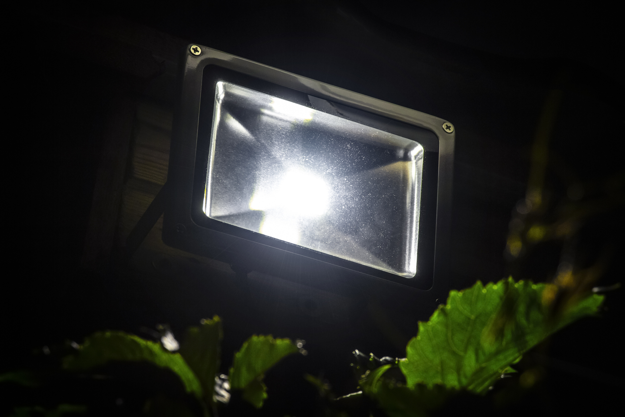 background_projecteur_led